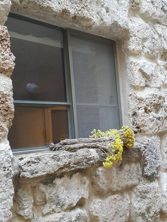 נטעים הבית של טלי וארז מראה חיצוני תמונה