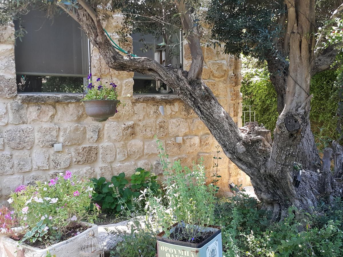 נטעים הבית של טלי וארז מראה חיצוני תמונה