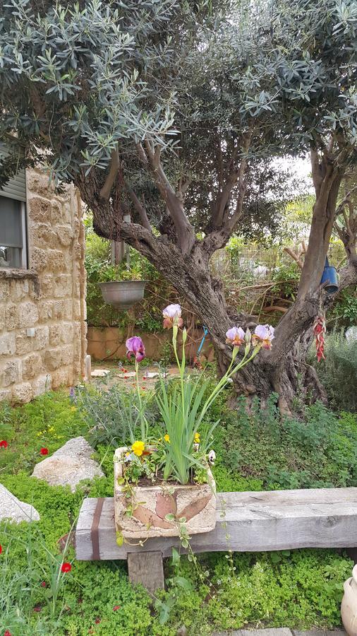 נטעים הבית של טלי וארז מראה חיצוני תמונה