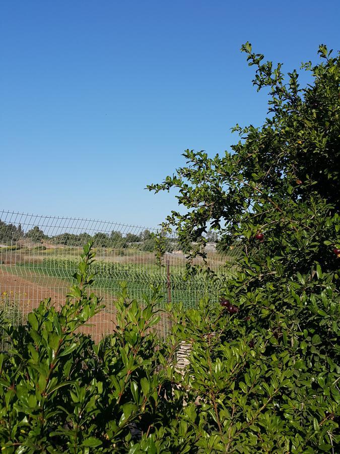 נטעים הבית של טלי וארז מראה חיצוני תמונה