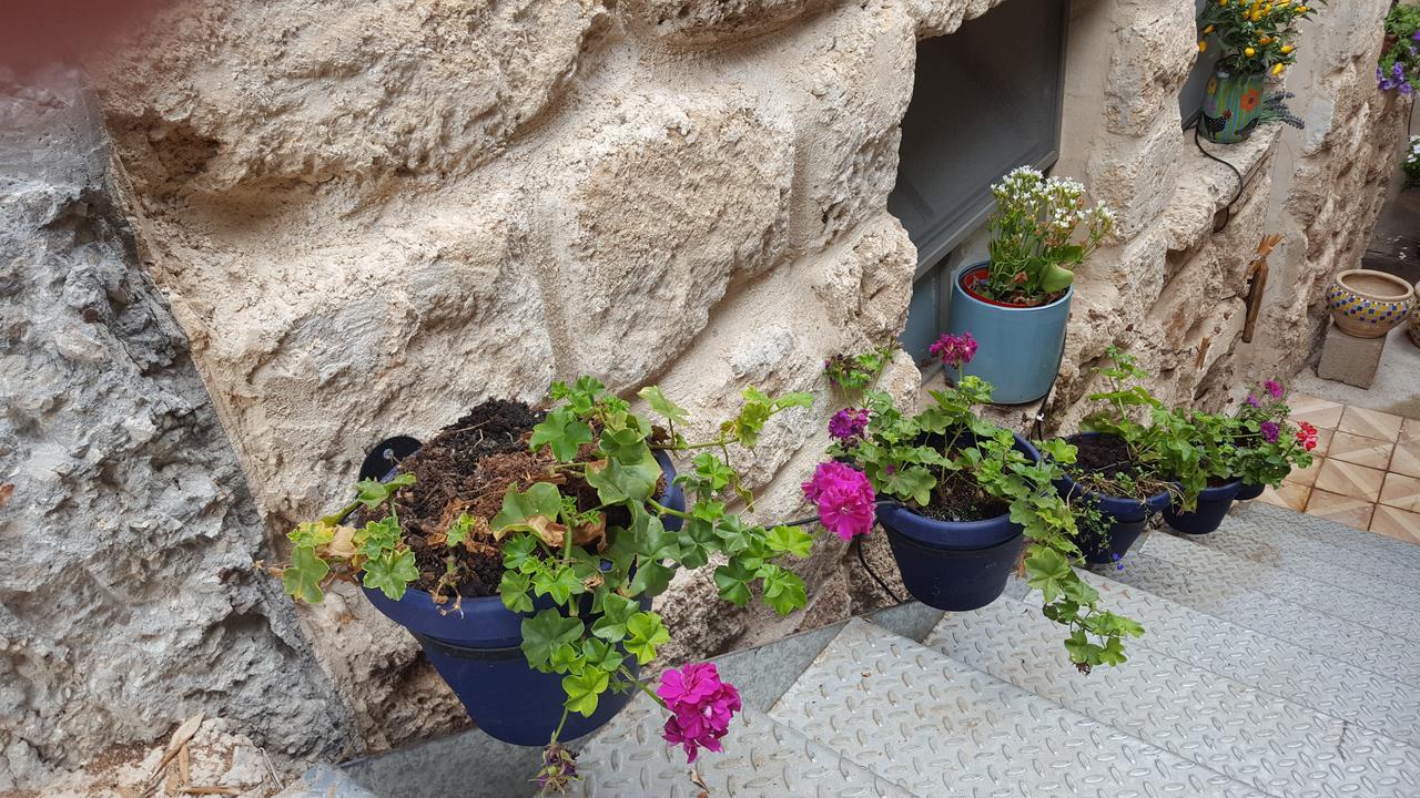 נטעים הבית של טלי וארז מראה חיצוני תמונה